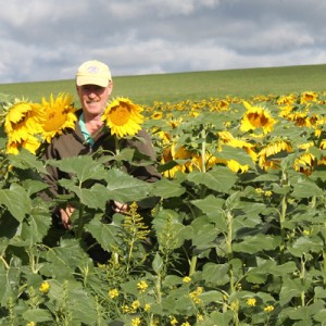 greg-with-sunflowers