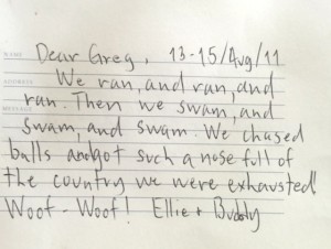 Guest note in log book - Ellie and Buddy